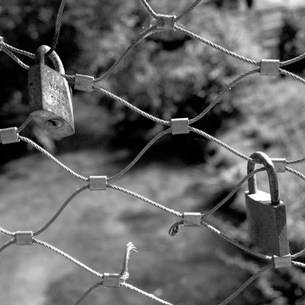 Description de l'image 5