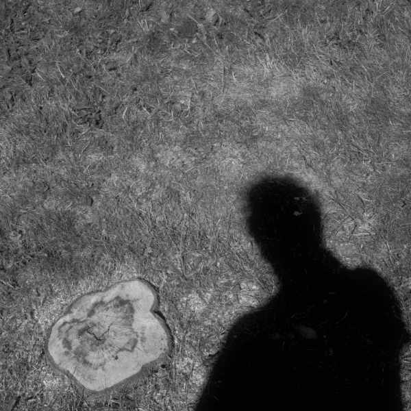 Description de l'image 6