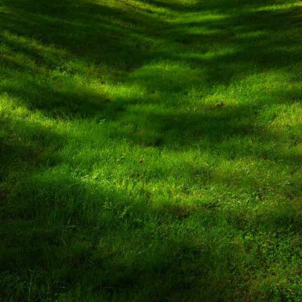 Description de l'image 4