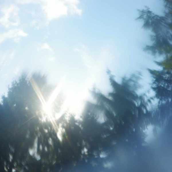 Description de l'image 6